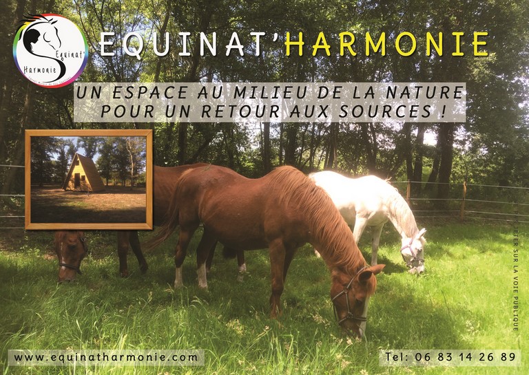 Flyer Equinat Harmonie
